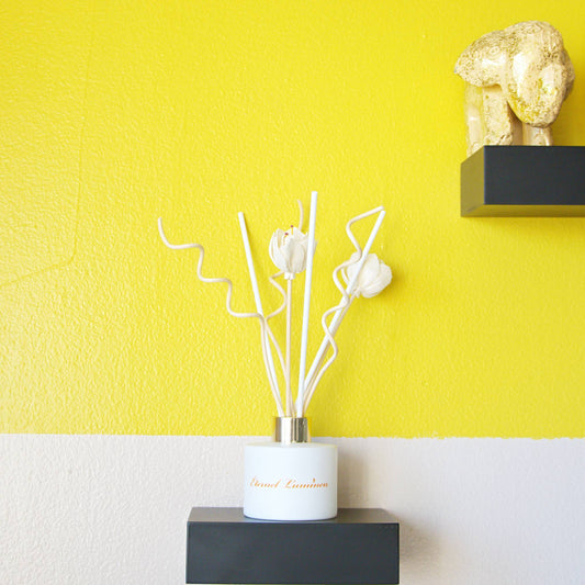 Peppermint & Eucalyptus Reed Diffuser