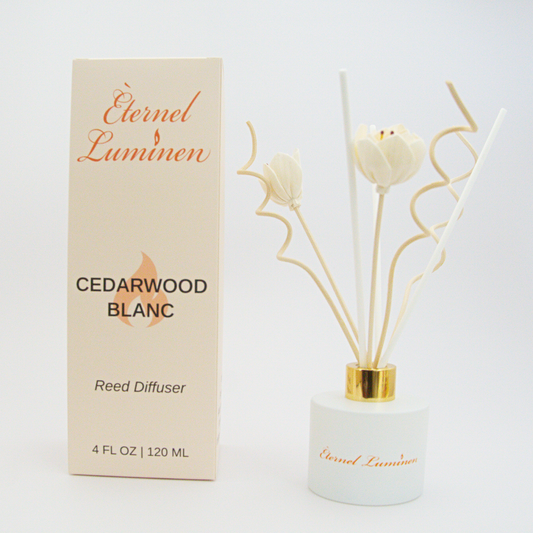 A 4oz Cedarwood Blanc reed diffuser in a frosted white jar sitting against a white background