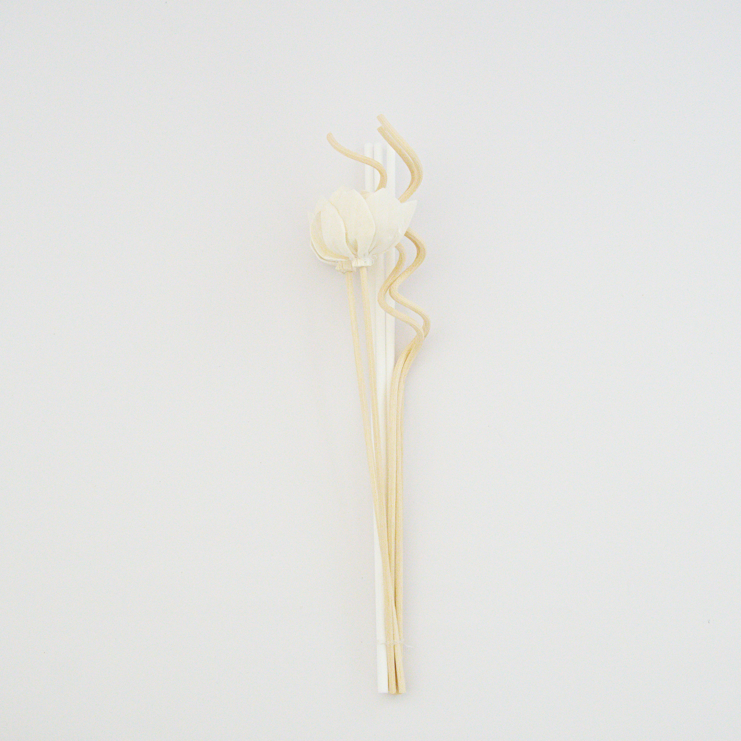 Diffuser Reeds Replacement Sticks