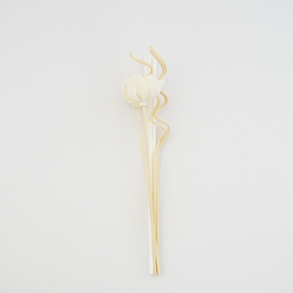 Diffuser Reeds Replacement Sticks