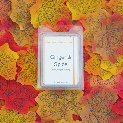 Ginger & Spice Wax Melt