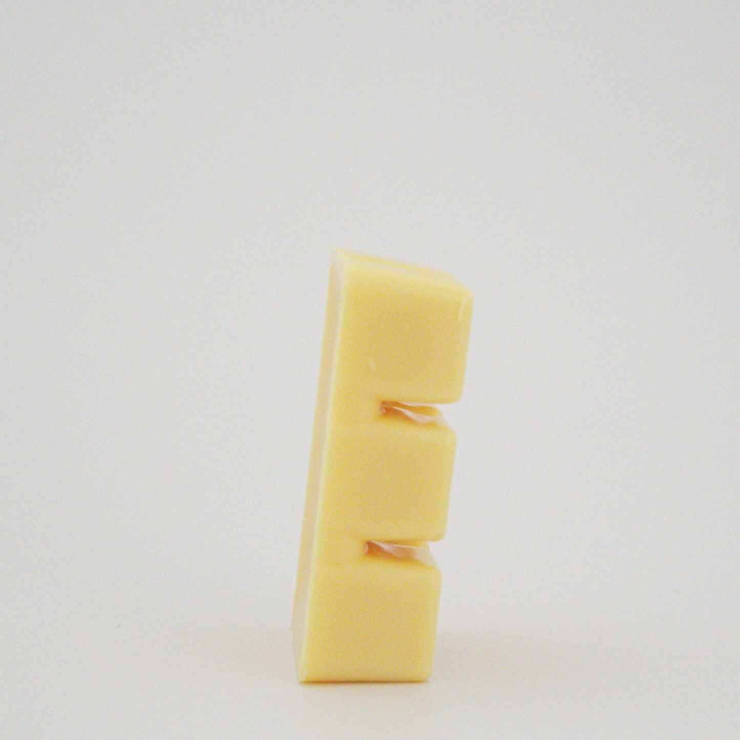 Fallen Leaves Wax Melt