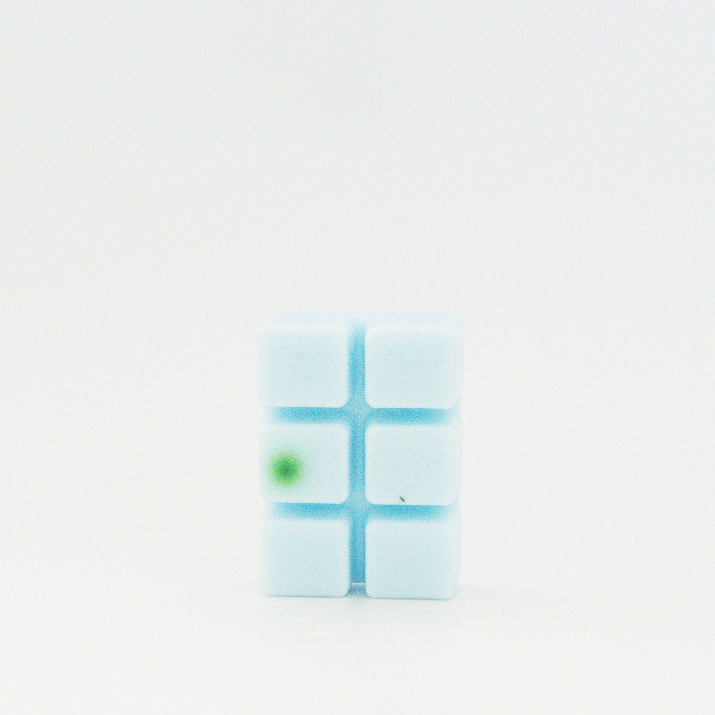Spa Day Wax Melt