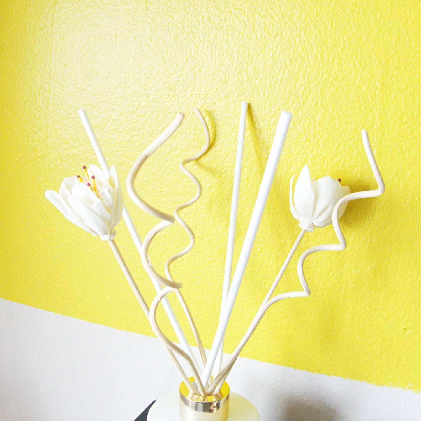 Coconut Dreams Reed Diffuser
