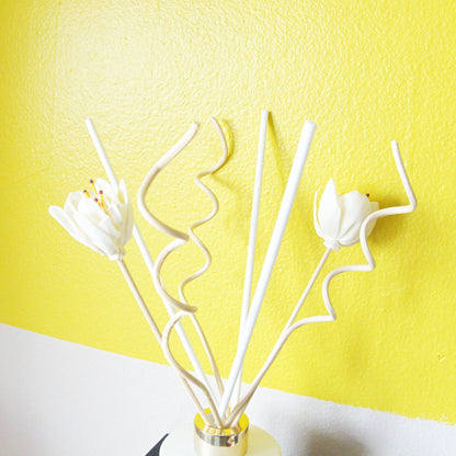 Coconut Dreams Reed Diffuser