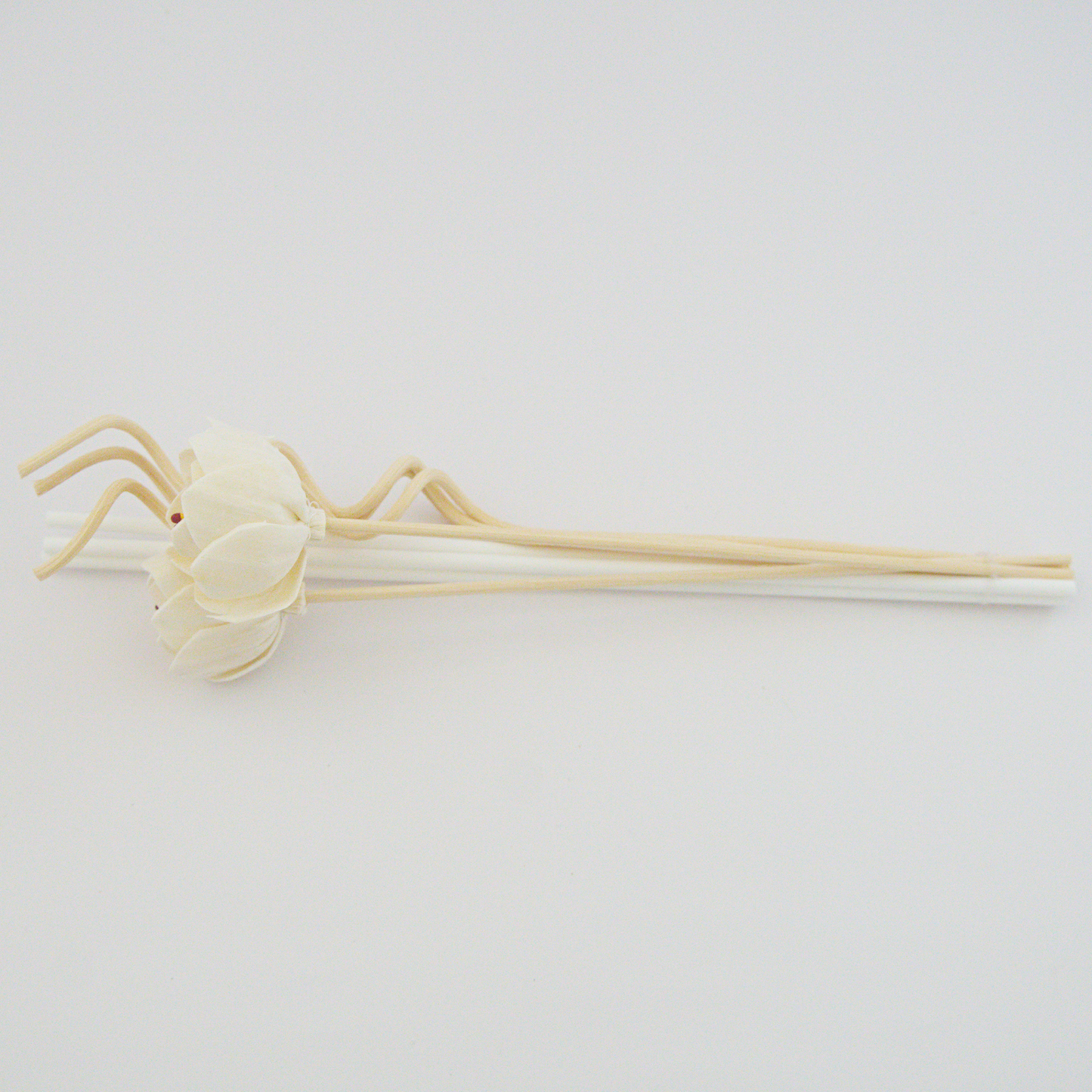 Diffuser Reeds Replacement Sticks