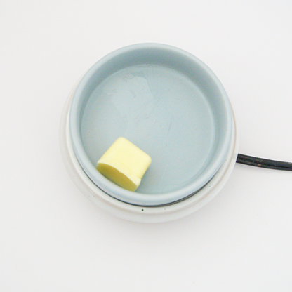 White Eucalyptus Wax Melt