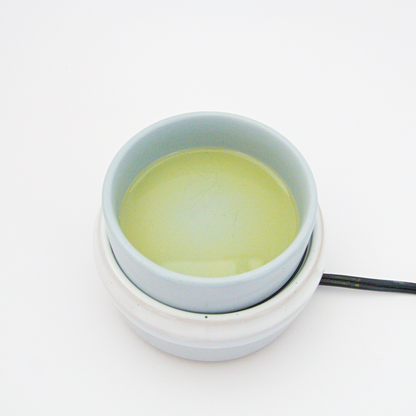 White Eucalyptus Wax Melt